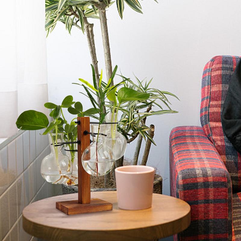 Standı ile Terrarium teraryum  - Propagation Station Vase incelemesi ve fiyatı