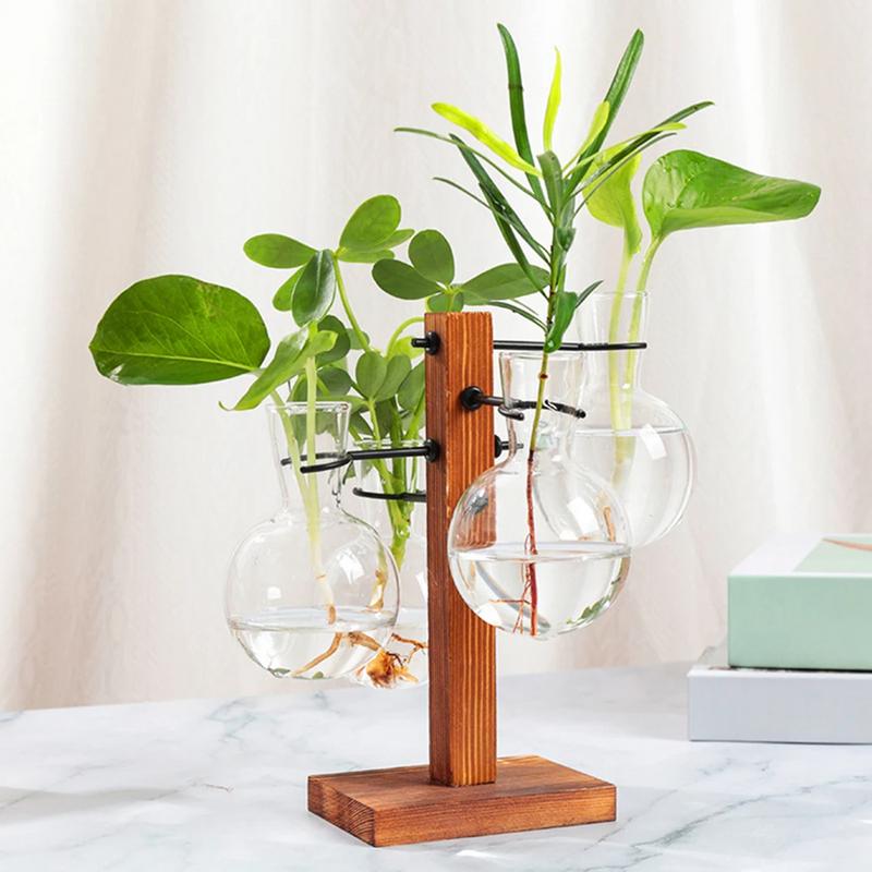 Standı ile Terrarium teraryum  - Propagation Station Vase incelemesi ve fiyatı