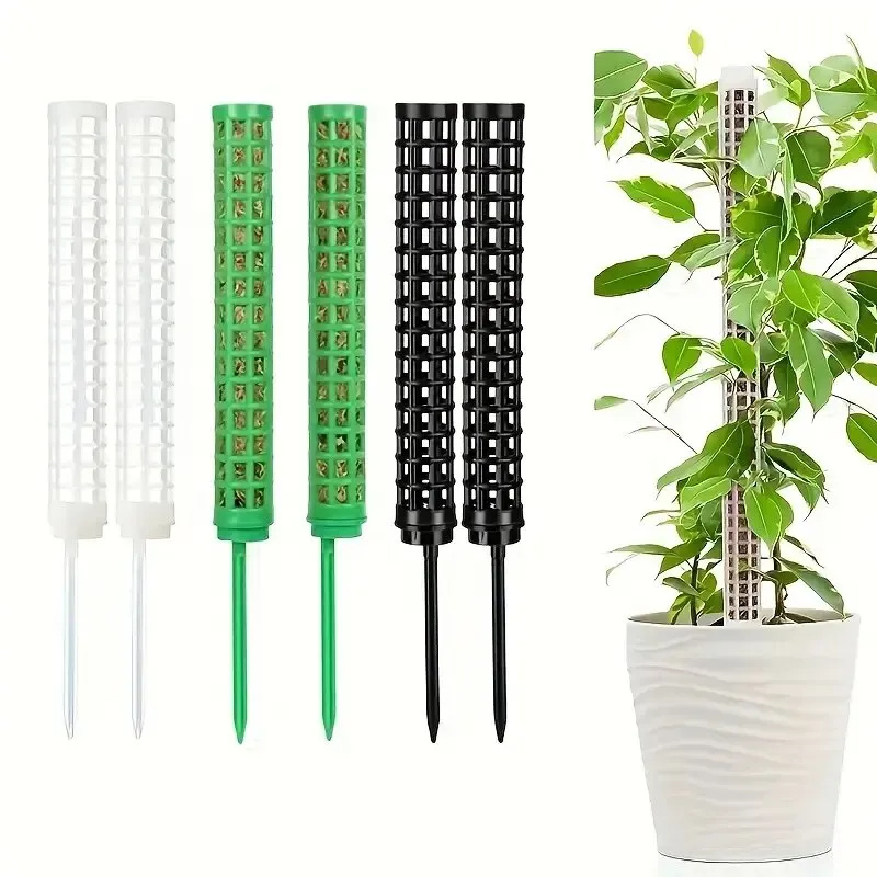 Plastik Yosun Direkleri, İç Me - Sphagnum Moss Dry incelemesi ve fiyatı