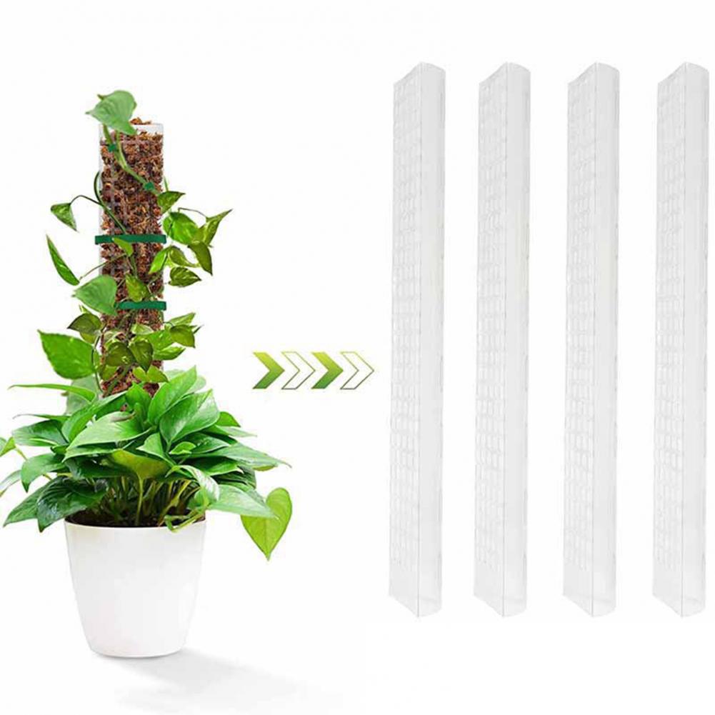 Tırmanıcı Bitkiler için Yosun  - Sphagnum Moss Dry incelemesi ve fiyatı