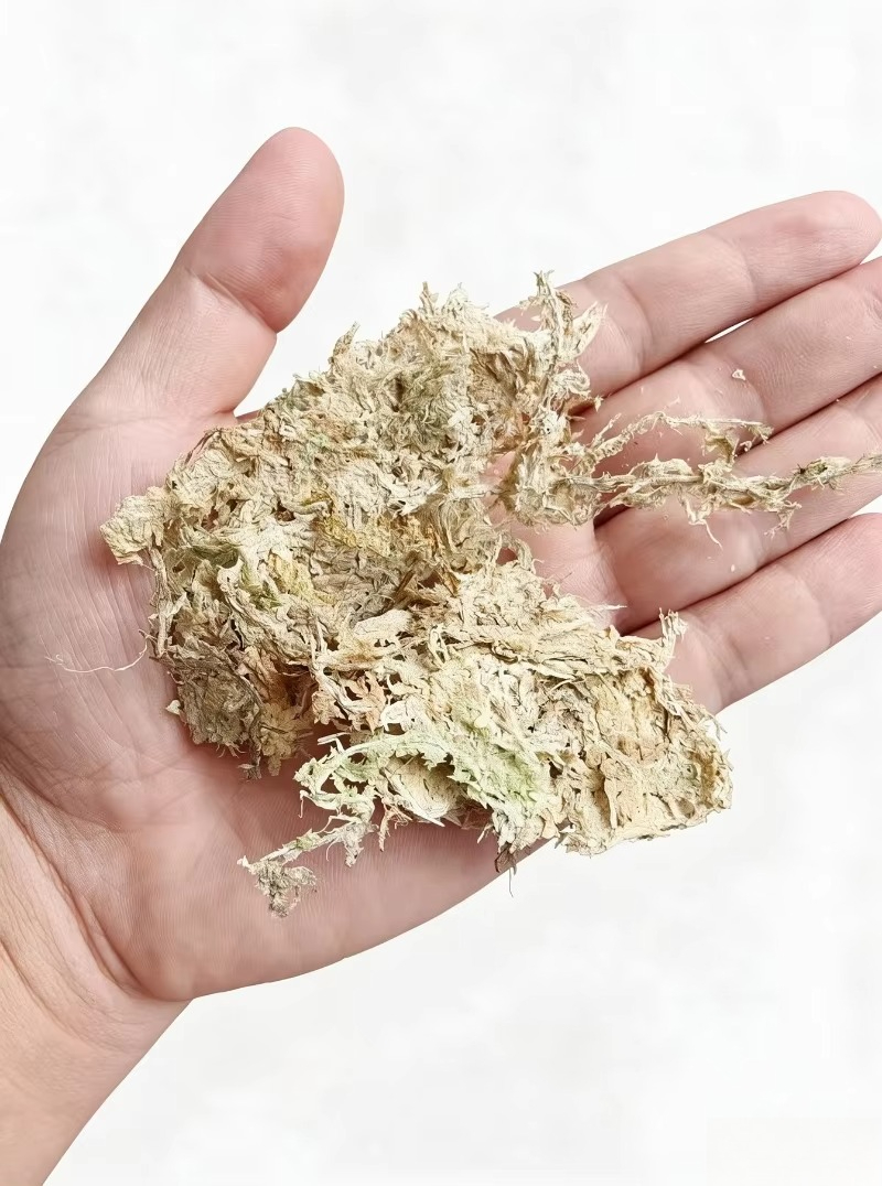 Orkideler için birinci sınıf S - Sphagnum Moss Dry incelemesi ve fiyatı